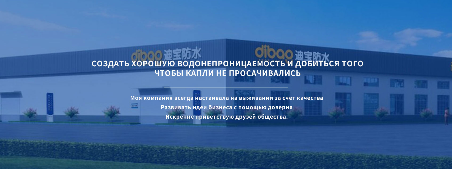 Dibao waterproof material Co., LTD 